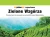 Biopaliwo zapachowe 1l Zielone Wzgórza